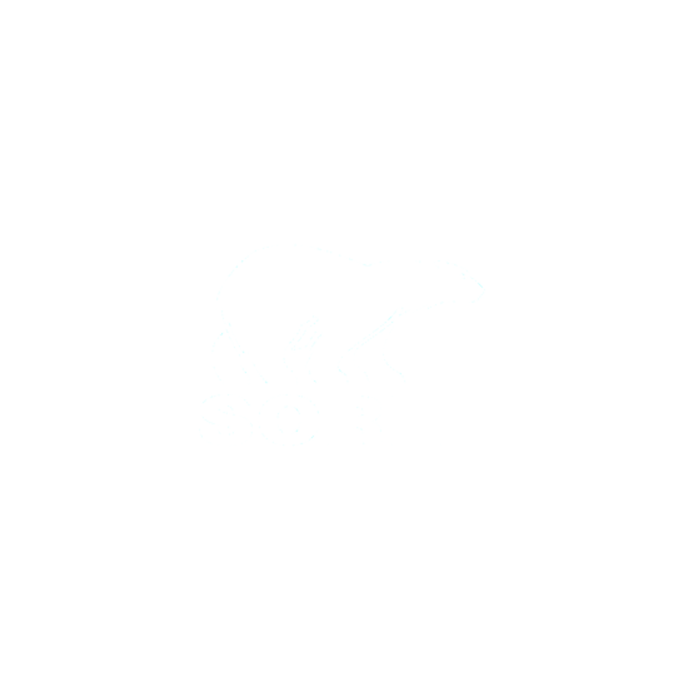 Sorel logo